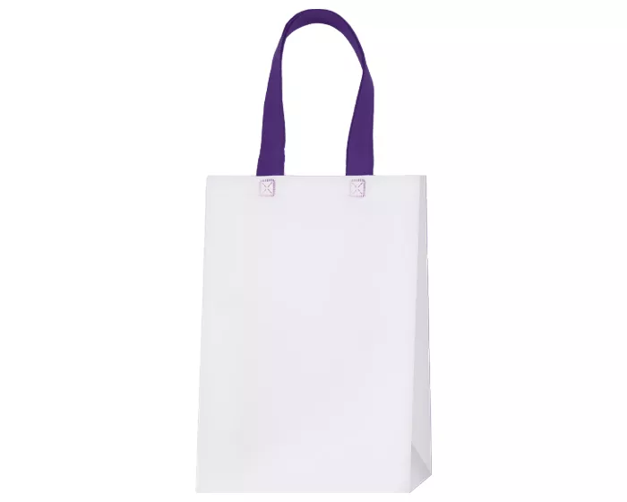 A2531.29 BOLSA ECOLÓGICA ASTON A2531 MORADO MORADO