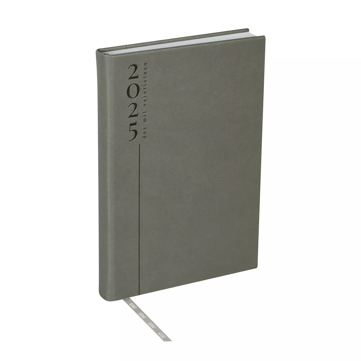 AGD 025 G AGENDA DIARIA CLASICA 2025 gris