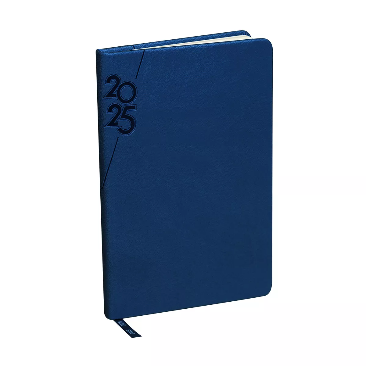 AGMT 025 AR AGENDA MINI TERRA 2025 azul rey