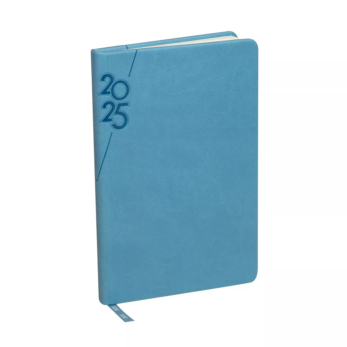 AGMT 025 A AGENDA MINI TERRA 2025 azul