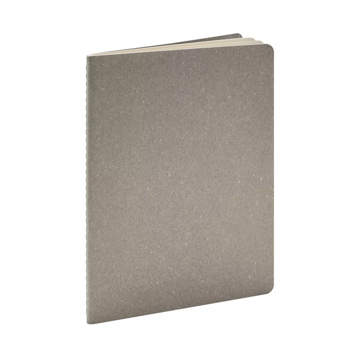 HL 9095 G LIBRETA DEREBO gris