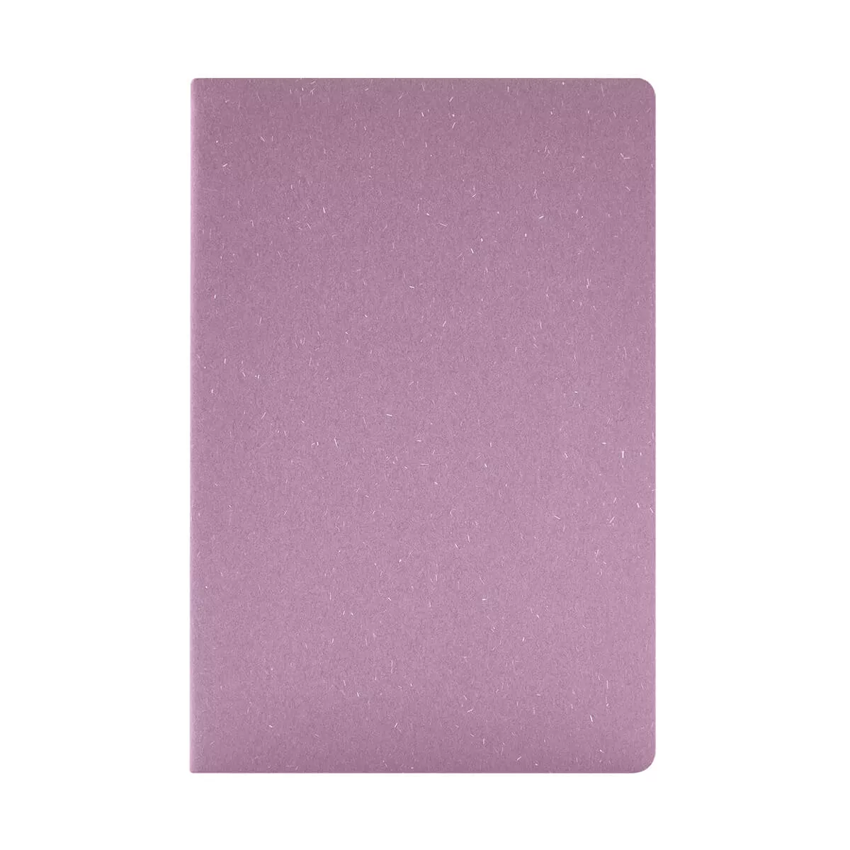 HL 9095 M LIBRETA DEREBO morado