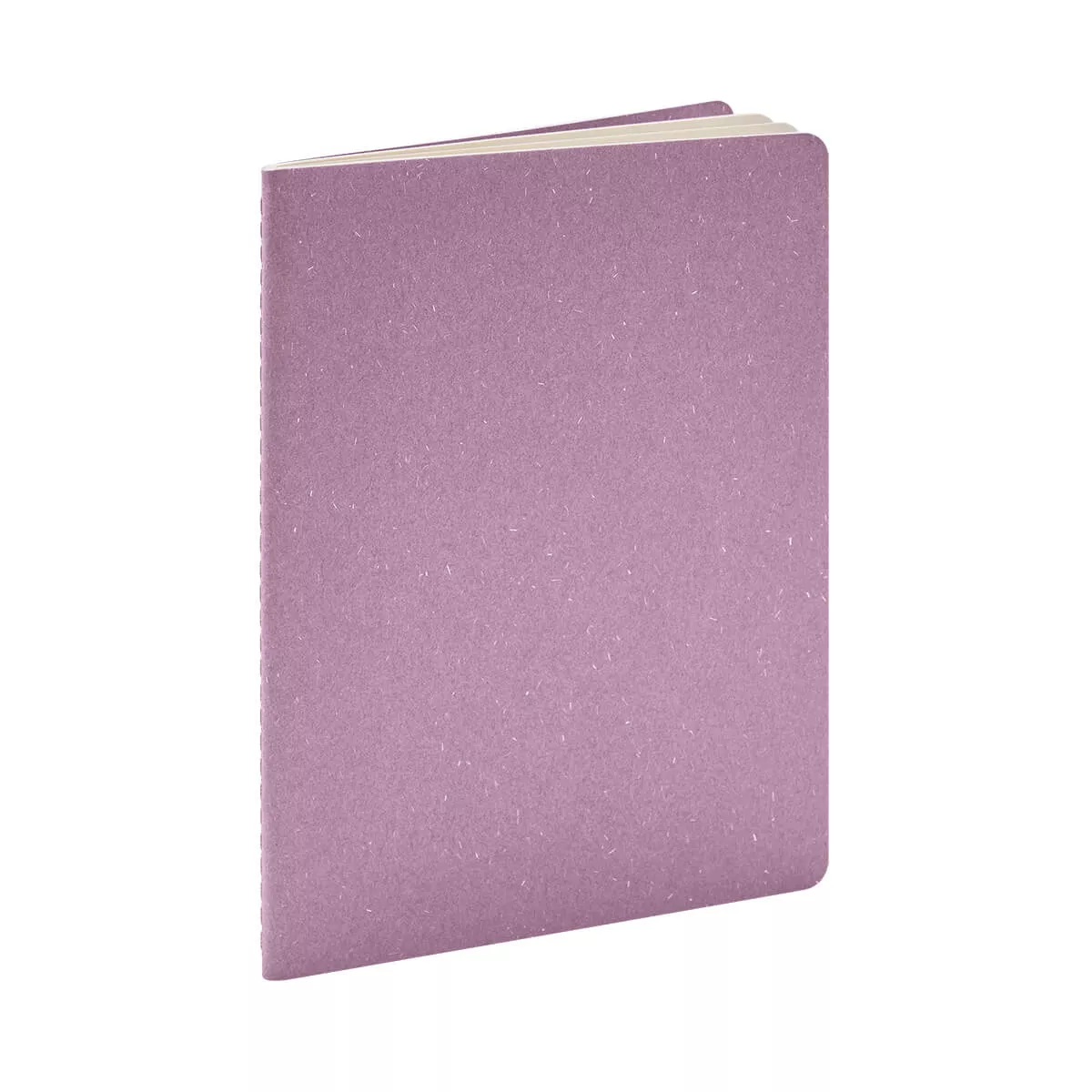 HL 9095 M LIBRETA DEREBO morado