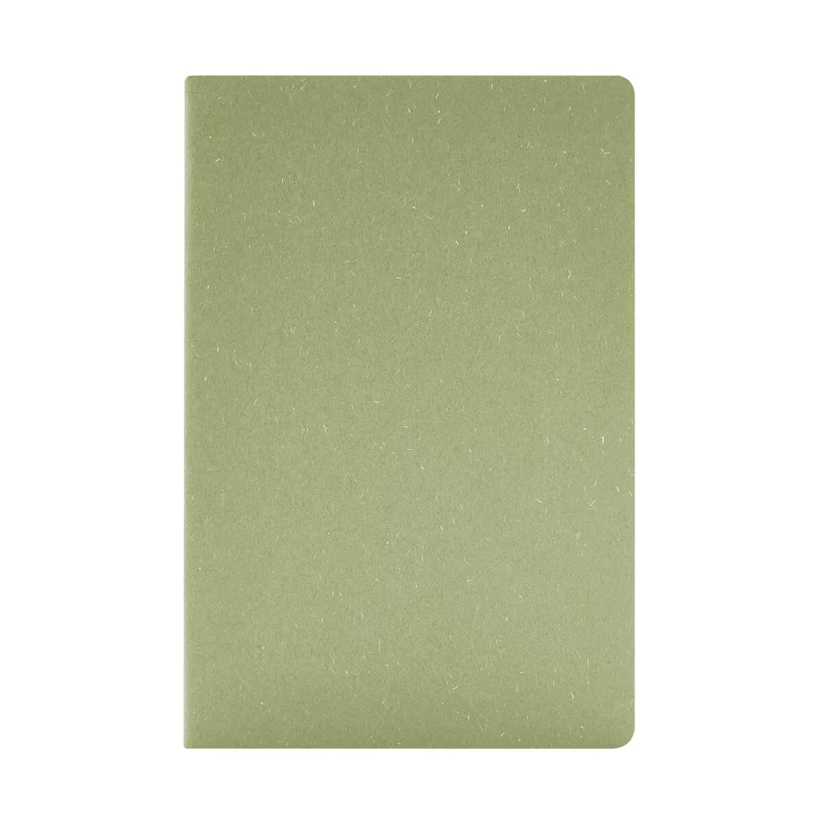 HL 9095 V LIBRETA DEREBO verde