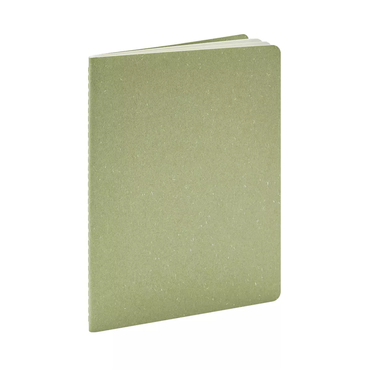 HL 9095 V LIBRETA DEREBO verde