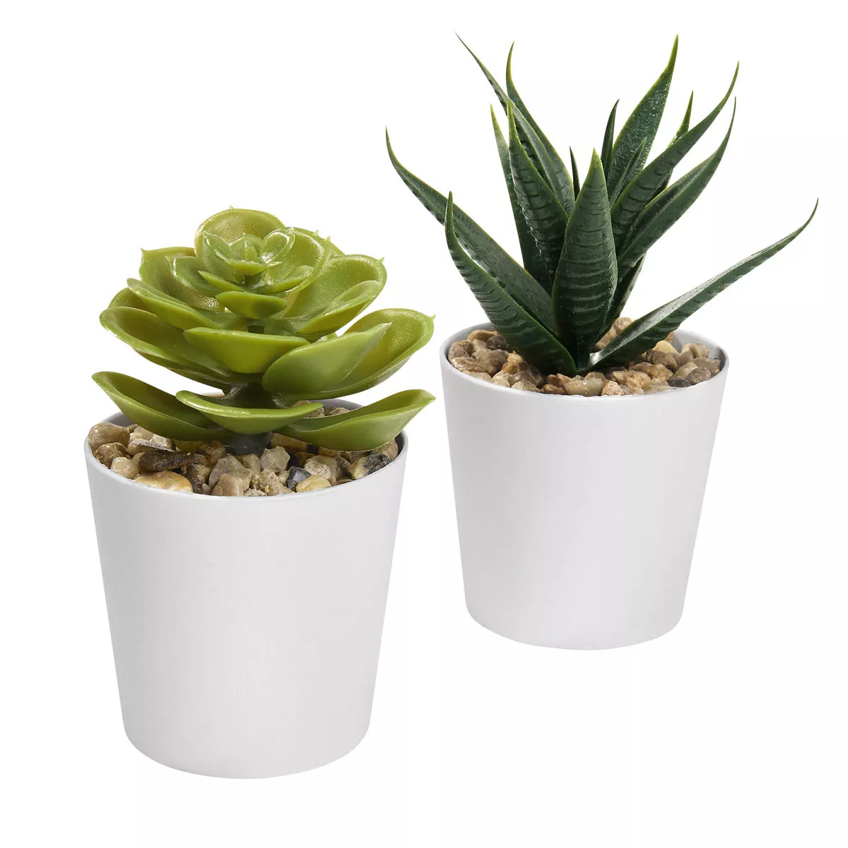 KTC 750 B SET DE PLANTAS ALISO blanco